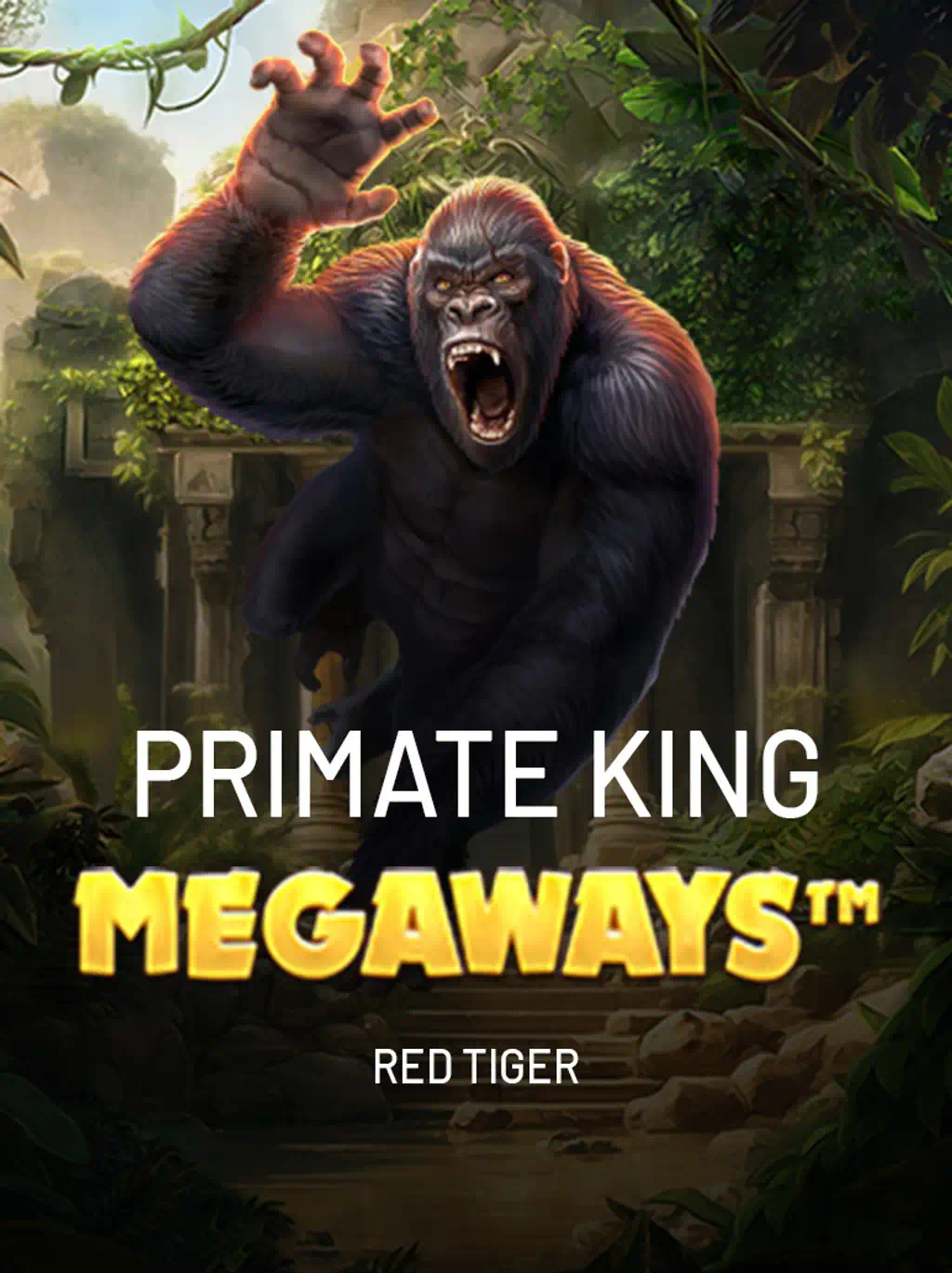 67 game plataforma PAGA MESMO 💸 Apostas em Futebol, Slots e Mais